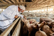 © Dusan Petkovic - An old veterinarian in lab cat holding textbook and petting pig pin pen at animal farm.