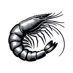 Shrimp silhouette. engrave black icon on white background