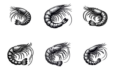 Shrimp silhouette. engrave black icon on white background