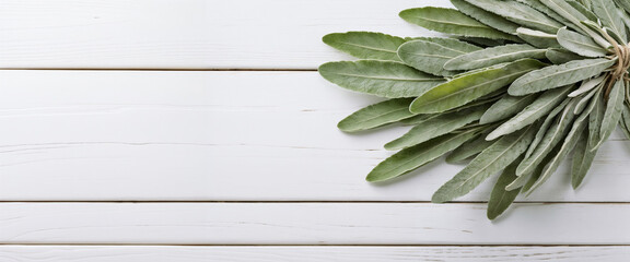 Wall Mural - a bunch of sage on white wooden table