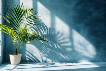 Poster - Palm plant shadow wall sunlight interior design