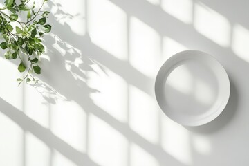 Wall Mural - White Plate Greenery Sunlight Minimalist Composition