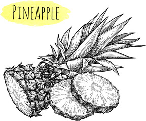Wall Mural - pineapple ink sketch