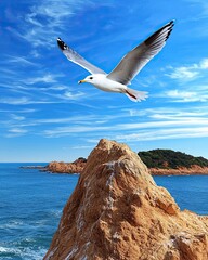 Wall Mural - majestic seagull in flight above rocky cliff with breathtaking ocean and cloudy sky backdrop