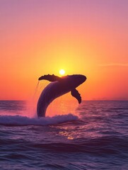 Poster - Whale breaches the surface in a stunning sunset over the ocean landscape. Generative AI