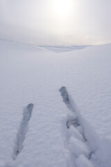 tip of skies in the snow