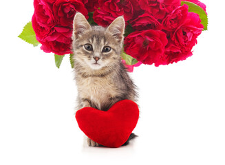 Wall Mural - Kitten with roses and a heart.