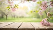 © Yasin - A vibrant springtime scene featuring blooming cherry blossoms in soft pink hues, with delicate petals on the branches creating a dreamy and romantic atmosphere.