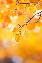 Poster - Golden Autumn Leaves Glowing in Sunlight for a Breathtaking Natural Scene : Generative AI