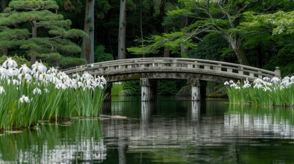 Wall Mural - serene garden scene featuring stone bridge over tranquil pond surrounded by blooming white irises and lush greenery, evoking sense of peace and natural beauty