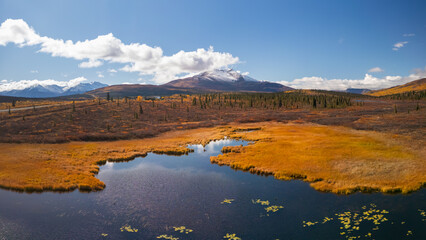 Wall Mural - aerial view of scenic knob lake in alaska during autumn time.