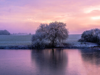 A beautiful winter countryside scene with isolated tree and reflection over lake, frost and mist, with sunlight breaking through clouds. Frozen lake. background copy space no people