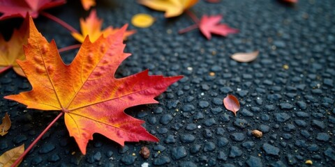 Wall Mural - Autumnal Maple Leaf on Dark Textured Surface A Close-Up View of Vibrant Fall Foliage