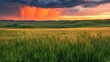 © Arif - Sunset storm over rolling hills, wheat field, rain