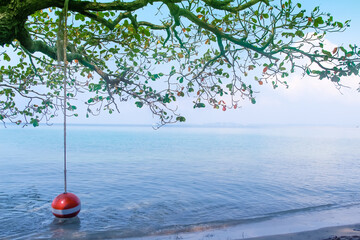 Green leaf tree branch to blue sea water view with ball sit hanging on scenic background