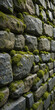 © Hard - A close-up of a moss-covered stone wall showcasing natural textures.