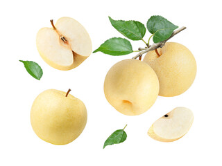 Wall Mural - Yellow Chinese pear isolated