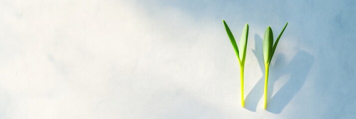 Aufkleber - Minimalist Botanical Two Green Sprouts on Textured Surface