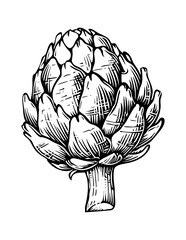 Wall Mural - artichoke engraving black and white outline
