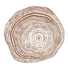 Wall Mural - Tree wood texture. Wooden old trunk. Cut timber log. Abstract rings nature pattern. Brown circle stump. Wood cross section.