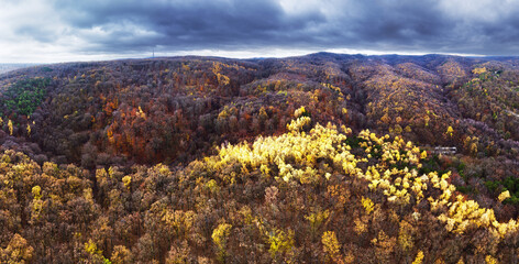 Aufkleber - Autumn forest landscape near Bratislava