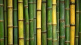 Bamboo forest texture showcasing vibrant green and yellow bamboo stalks ideal for nature and design backgrounds