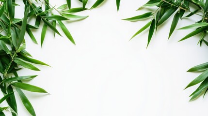 Poster - Bamboo leaves arranged on a white background creating a natural frame with ample space for text or design elements