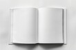 © Fazila - Open book on light background. Open book mockup.
