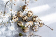 © ADDICTIVE STOCK - Quail eggs and cherry blossoms in a top view arrangement