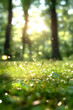© Dibani - Sunlit meadow, vibrant green grass, dappled sunlight filtering through trees in a forest background; ideal for nature, tranquility, or environmental themes