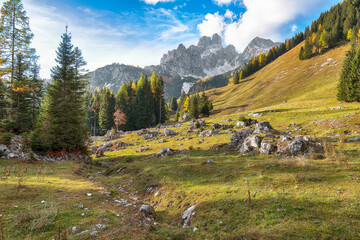 Wall Mural - Stunning view of mountains and valleys with larch forest and wonderful sky are located in Filzmoos