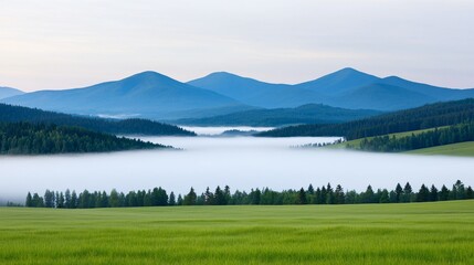 Wall Mural - Misty morning landscape with mountains, fields, and fog.