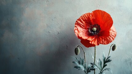 Sticker - Red poppy flower.