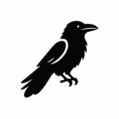 very simple flat and minimalist Raven silhouette in black on a white background