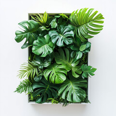 Wall Mural - Template with Jungle-Like Plants Coming Out of a Rectangular Box, Top View on White Background