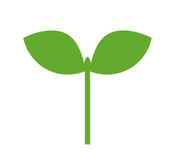 Wall Mural - plant seedling icon. spring green plant icon isolated on white. png illustration.