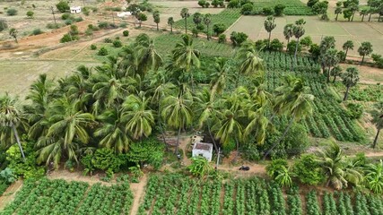 Poster - Aerial footage of the wind turbines in agricultural cultivated fields in a country village