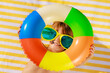 © Sunny studio - Top view portrait of happy child lying on beach towel on summer vacation