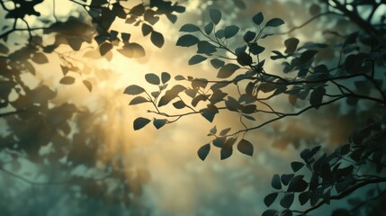 Wall Mural - Sunlight Filtering Through Leaves Creating a Serene Forest Atmosphere