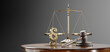 © 3Dsss - Law Legal Lawyer Concept. Gavel of justice, Libra and Paragraph symbol