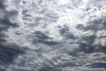 Wall Mural - clouds in the sky