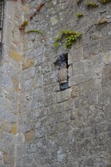 Statue of a Human Figure Embedded in a Stone Wall