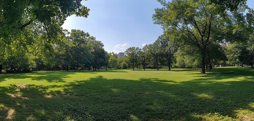 Wall Mural - Beautiful green trees and grass in a park with sunlight, captured with a wide-angle lens. This summer landscape image could be used as a banner template or stock photo. It is a high-quality,