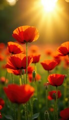 Wall Mural - Vibrant red poppies bathed in golden sunlight, swaying gently , sunbeams, design, bright