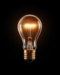© Mykola - Bronze Light Bulb. A symbol of bright idea and innovative mind for businesses on isolated background