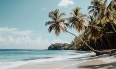 Wall Mural - A tropical beach scene with palm trees swaying gently in the breeze, natural beauty, palm trees, island life