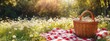 © zong - Summer picnic basket on red and white checkered blanket in blooming meadow under warm sunlight