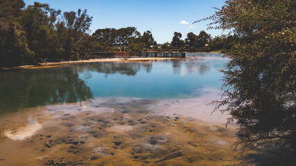 Wall Mural - Thermal hot lake in rotorua new zealand sunny day steam bubbles contrast colours