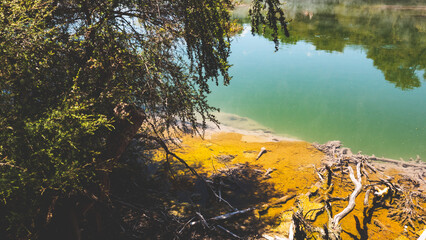 Wall Mural - Thermal hot lake in rotorua new zealand sunny day steam bubbles contrast colours