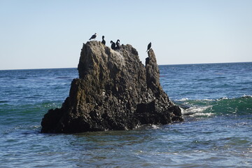 Wall Mural - El Matador State Beach, Malibu, CA - great scenic views